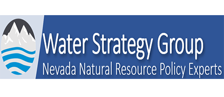 Water Strategy Group